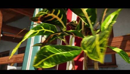 Bikini babe joins two dick girls and gets double penetration fucking outside