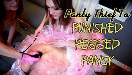 Panty Thief To Punished, Pegged Pansy (HD 4K MP4)