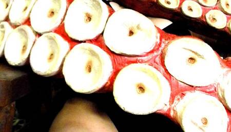 Indomitable! 5 (Anastasia Maye) (MP4)