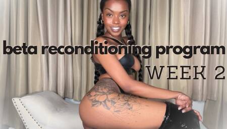 beta Reconditioning Program Part 2