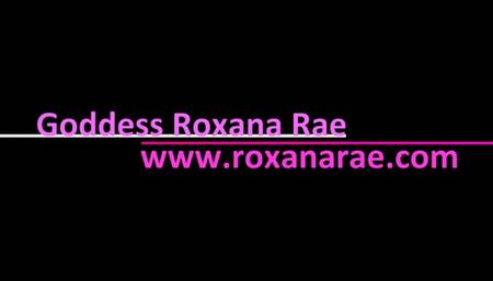 Saturday Night Tease