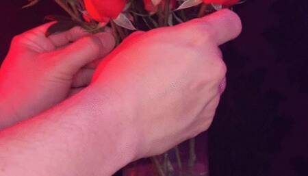 Valentine's Day Escapades