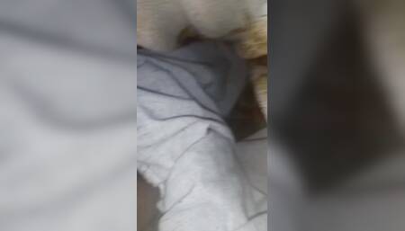 Big Fucking Black Bick
