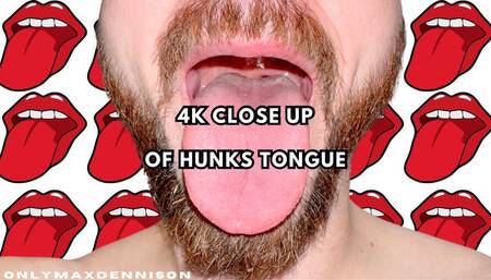 4k close up of hunks tongue