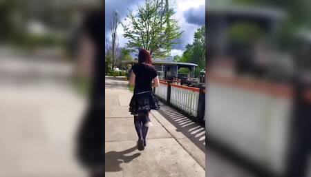 Kitten Walk in the Park