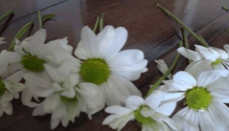 Stomp on flowerS with Shoes a