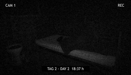 48h Prison Extreme Day 2 – Imprisoned girl is tied to her bed to be whipped and scrubbed