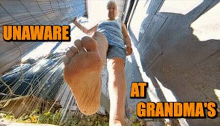 Unaware At Your Grandmothers Surprise Party - HD 720p Version