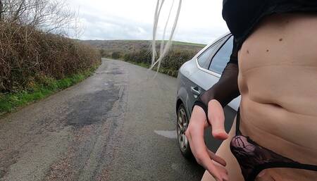 Trans Wild Drive to Work