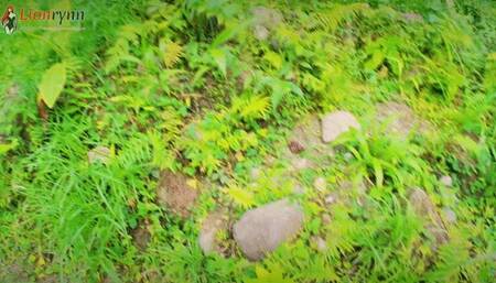 FPOV POV Masturbation at the river in swimsuit