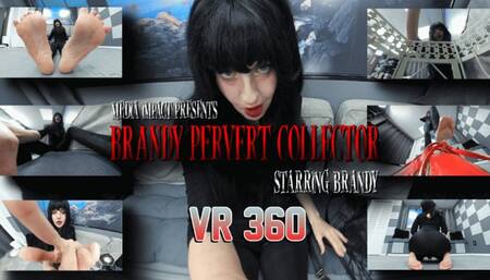 Brandy Pervert Collector VR 360