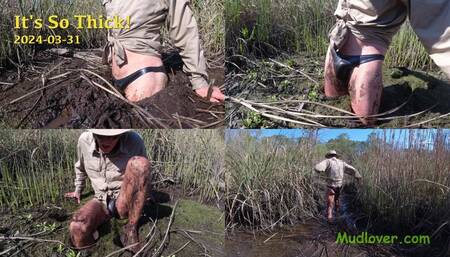 It's So Thick, 2024-03-31