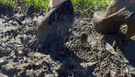 Jannette and her dirty 10 cm heelsWMV