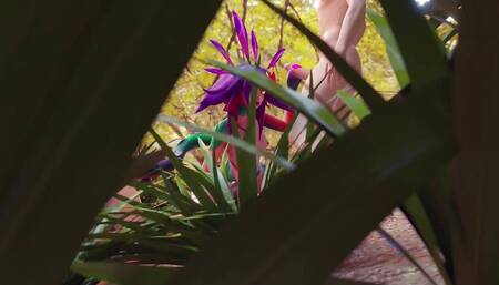 053 by Thecount( Cute Hot White Ass Is Double Penetrated)