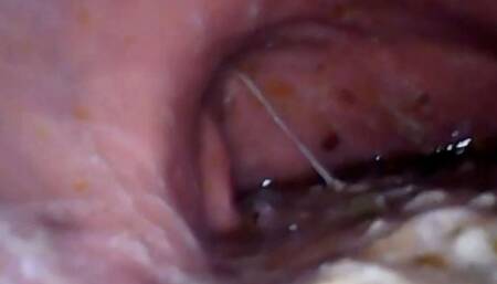 Complete video in Full Screen I eat a lot of sushi at home - The inside of my stomach and the first part of my mouth 1080HD