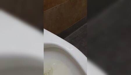 Guy Trepanier from Quebec Canada is a completely exposed toilet slut