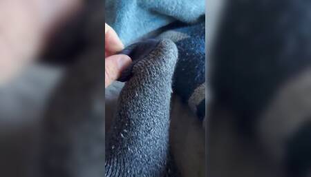 I Want You to Sick My Dick