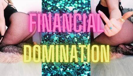 FINANCIAL DOMINATION