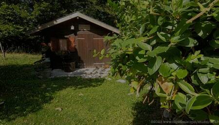 Relaxing on a hammock (2023) (MP4)