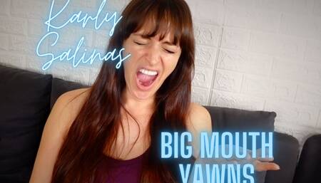 Karly Salinas Big Mouth Yawns HD 720p MP4