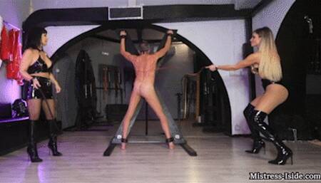 WHIPPED MERCILESSLY mobile version