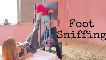 Quimera does slave to smell his sweaty foot