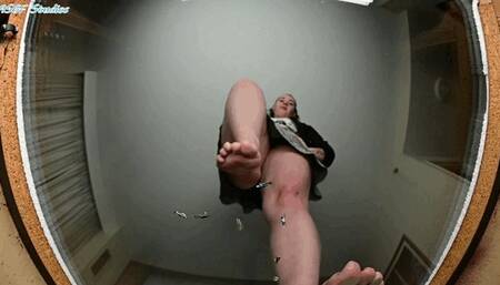 Bratty B stomps the crowd! - MOV