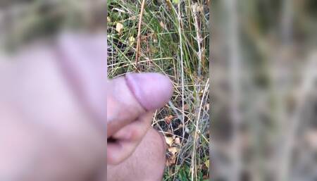 Outdoors 3