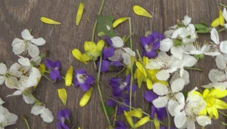 TOE TAPPING AND CRUSH FLOWERs TT