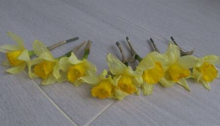 I crushed a lot of yellow flowers by stomping on them c