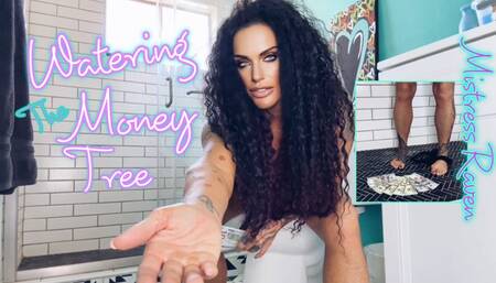 WATERING THE MONEY TREE