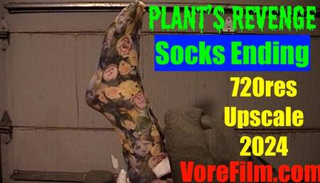 Plant's Revenge - socks 720res upscale