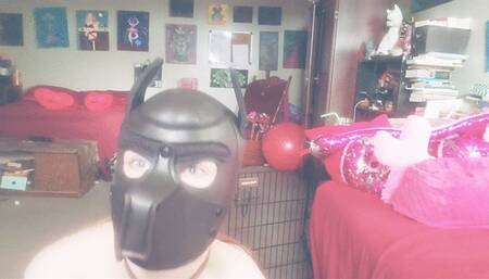 New Gimp Mask From Viewer! GRATEFUL