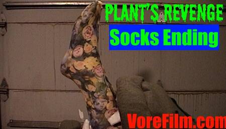Plant's Revenge - socks 540res SD