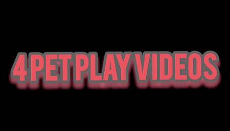 4 Pet Play Videos Bundle