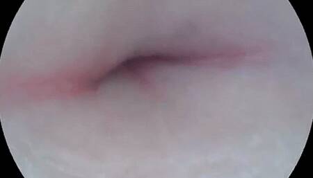 Belly Button Exploration