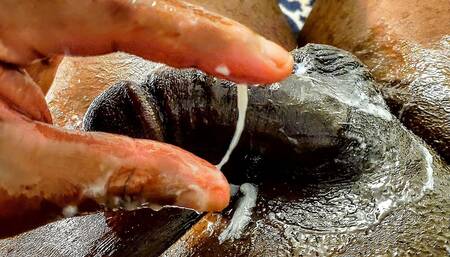 The Immortal Ale, Bubbly Crystal Clear in Glass in Direct Sunlight, Shining Cum