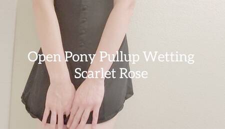 Open Pony Pullup Wetting