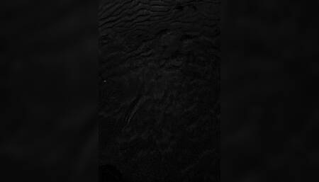 Prncsv fk dgy dld c0mp1lation