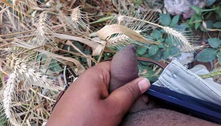 Land Very Nice Looking for Girls