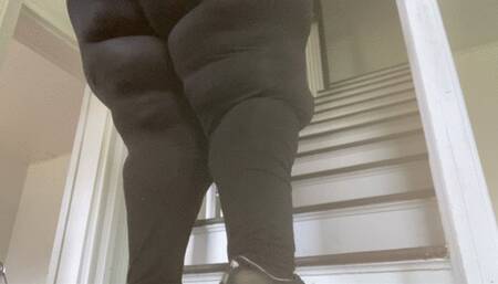 BBB Up the Stairs From Below