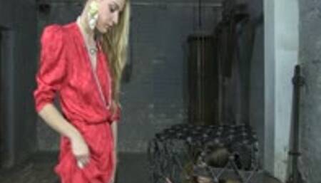 fall into my trap - wmv 720p