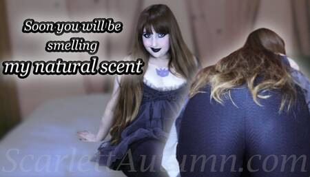 Excited about you smelling me - MP4 HD 1080p