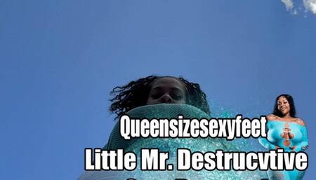 Little Mr Destructive Gets Destroyed