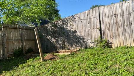 Stripping and Hosing Myself Down After Tending My Garden