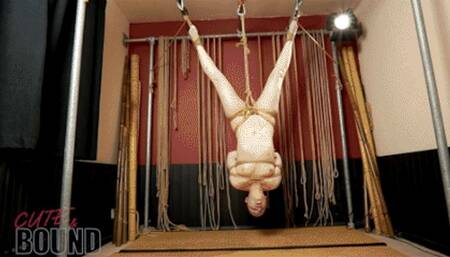 The Upside Down Toy (Eryn Rose)