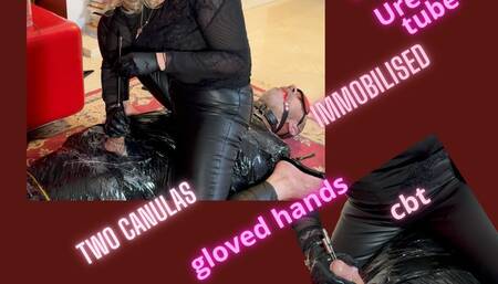 Empress MBella heats up immobilised slave urethra Version 1