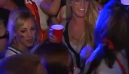 Tender kitten's hd clip