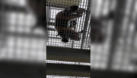 Look up on my sexy latex ass from under me