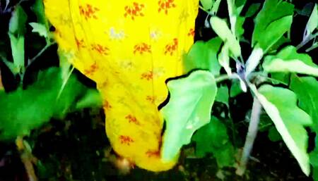 Outdoor My Desi Wife Sex